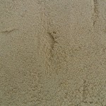 SAM_5765